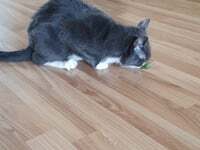 ������������